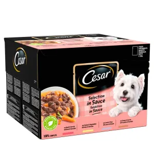 Cesar Deliciously Fresh Favourites in Sauce Pouch 4x12x100g