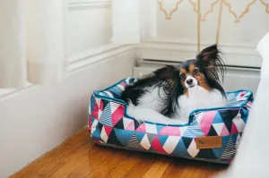 [Pre-order]Lounge Dog Bed: Mosaic Soda Pop